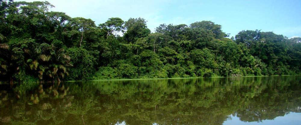 Caribbean View Apartment Tortuguero Exterior foto