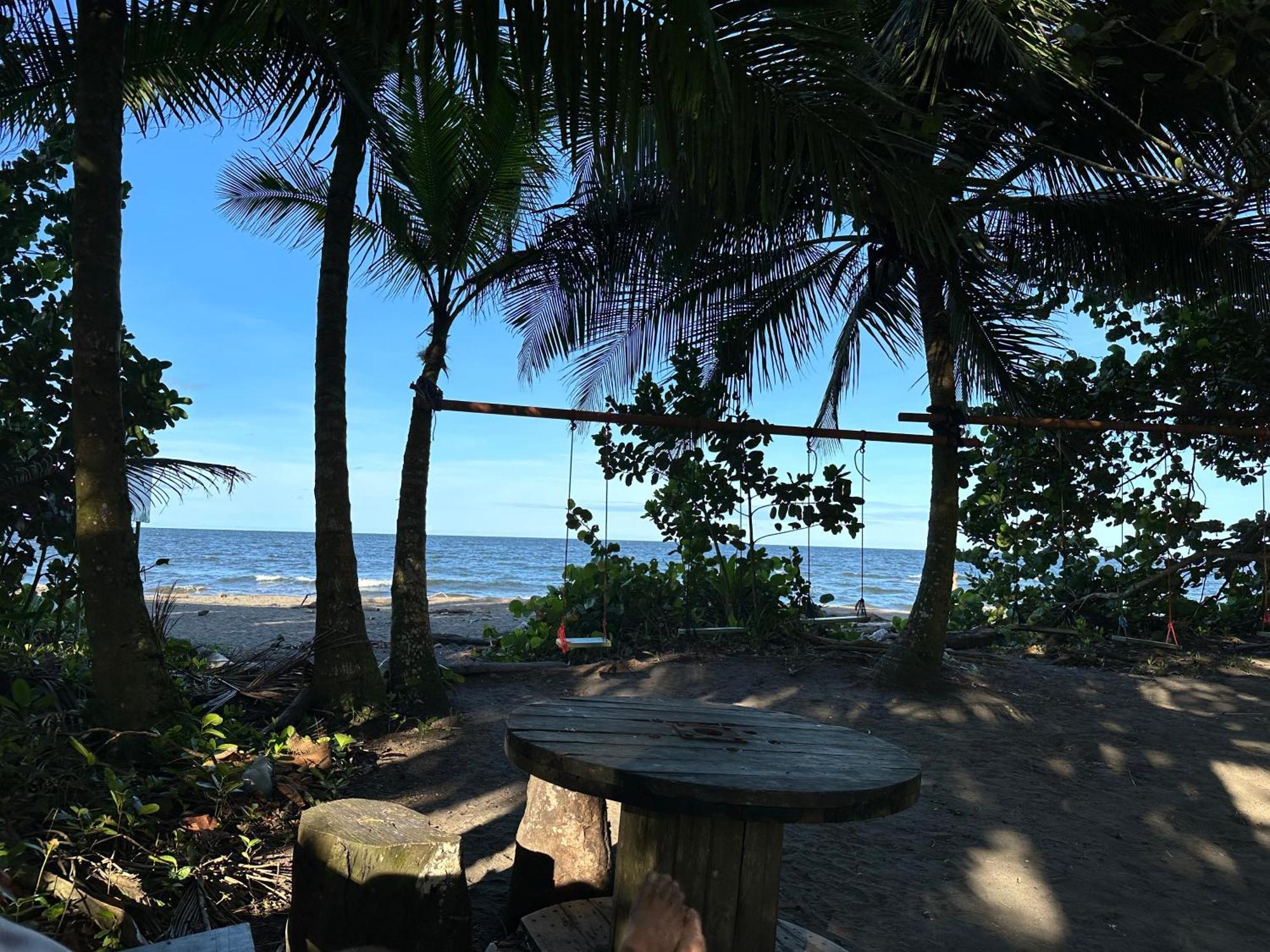 Caribbean View Apartment Tortuguero Exterior foto